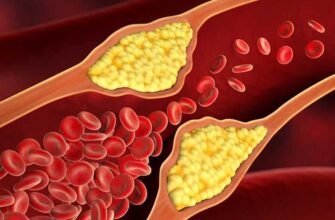 Що таке холестерин: правда про речовину