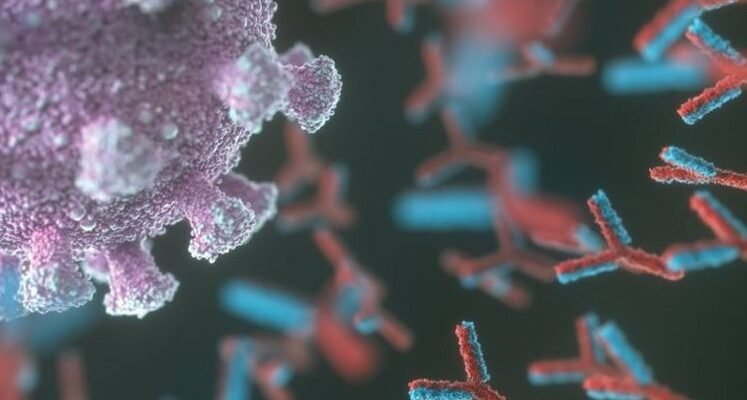 Що таке антитіла