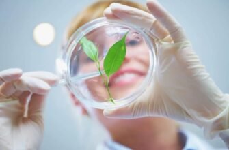 Що таке біотехнологія: як життя стає інструментом науки