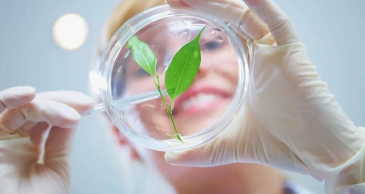 Що таке біотехнологія: як життя стає інструментом науки