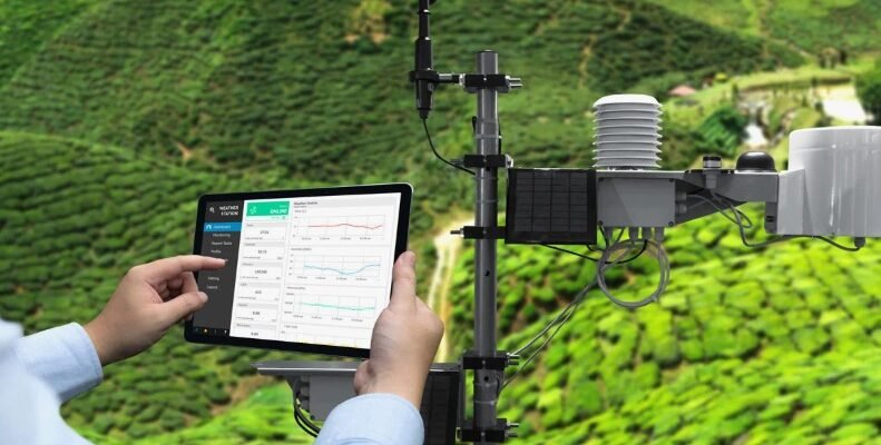 Що таке екологічний моніторинг