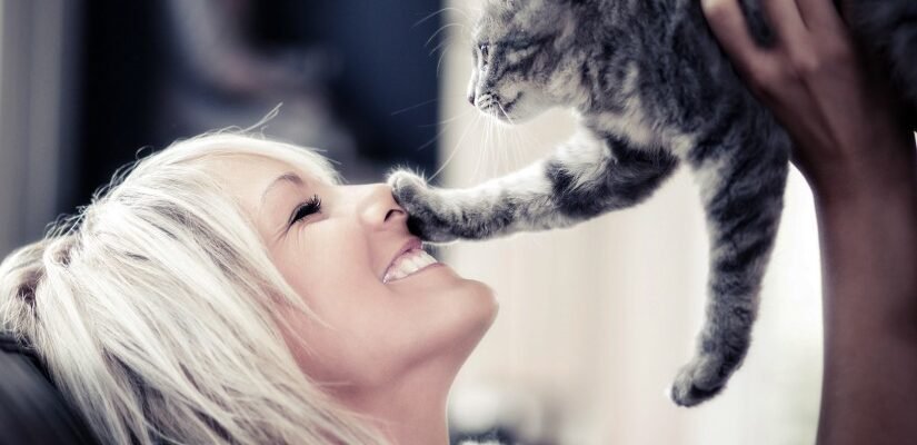 Що таке фелінотерапія і як це працює