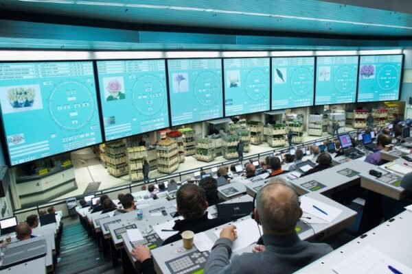 Голландський аукціон: від тюльпанів до блокчейну — секрети торгівлі