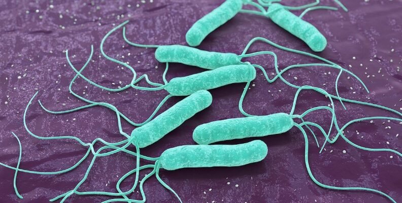 Що таке хелікобактерна інфекція: причини