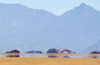 Що таке міраж: ілюзія пустелі