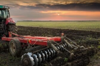 Що таке рілля