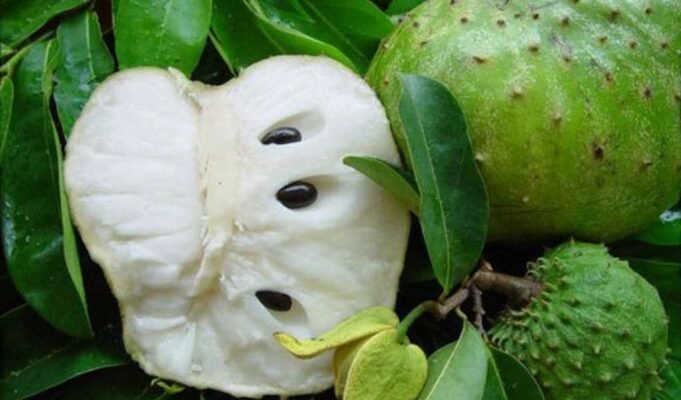 Що таке саусеп