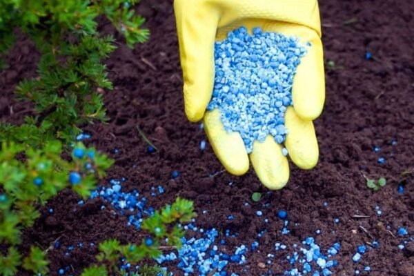 Значення азотних добрив у сільському господарстві: види та використання