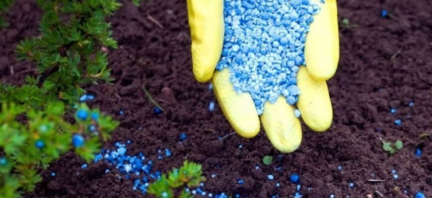 Що таке азотні добрива: роль у сільському господарстві та види