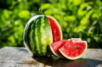 Що таке кавун: король літнього сезону