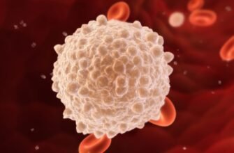 Невидимий щит: що таке лейкоцити і як вони нас захищають