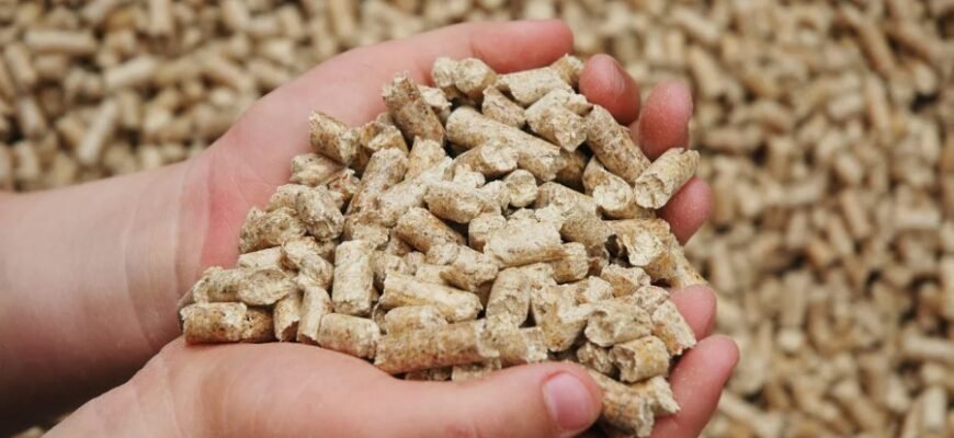 Що таке пелети: як деревна гранула стала паливом майбутнього