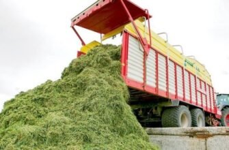 Що таке силос