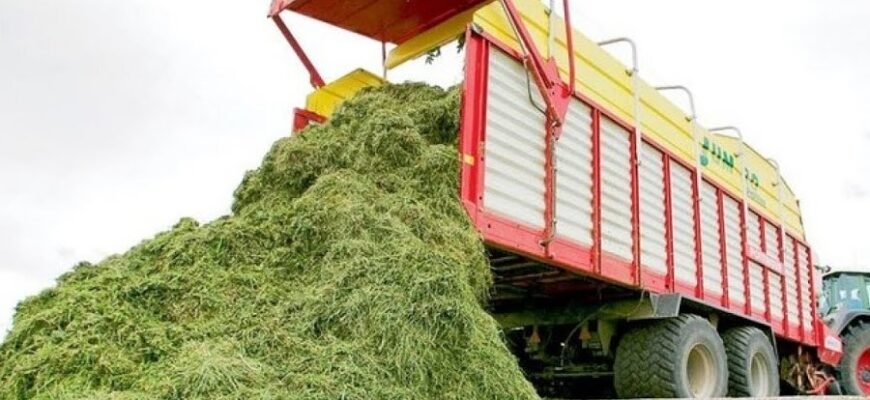 Що таке силос