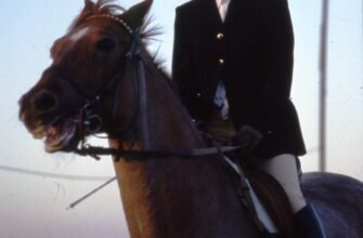 Ефективний догляд за шкіряним взуттям: поради та засоби для блиску