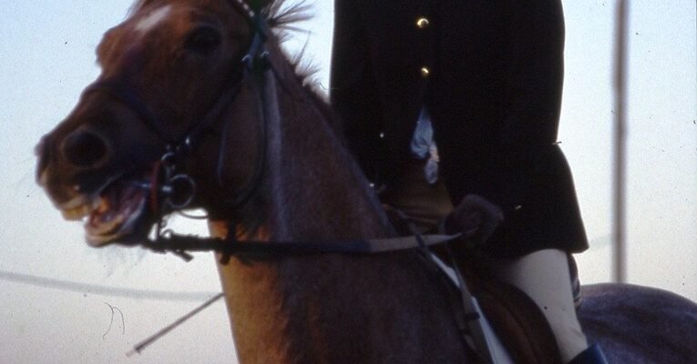 Ефективний догляд за шкіряним взуттям: поради та засоби для блиску