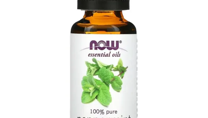 Чи дозволено вживати чай з м’яти під час вагітності: користь та застереження