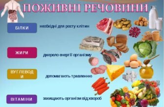 Чи дозволено вживати їжу перед здачею аналізу калу: важливі поради