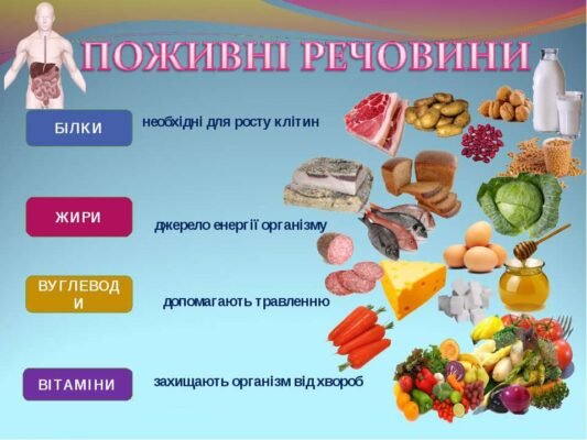 Чи дозволено вживати їжу перед здачею аналізу калу: важливі поради Чи дозволено вживати їжу перед здачею аналізу калу: важливі поради