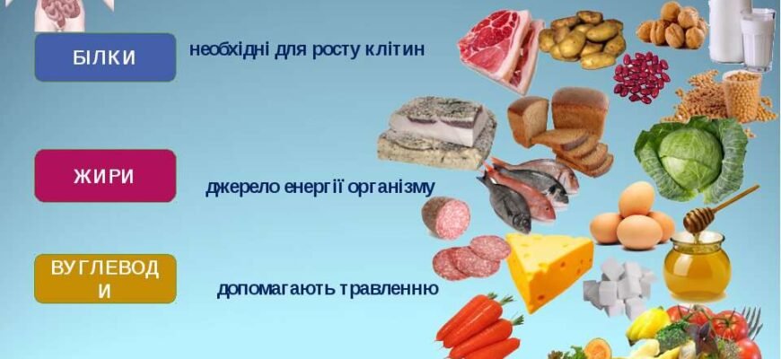 Чи дозволено вживати їжу перед здачею аналізу калу: важливі поради