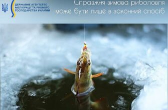 Чи клює сьогодні риба: актуальний прогноз для успішної риболовлі