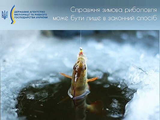Чи клює сьогодні риба: актуальний прогноз для успішної риболовлі