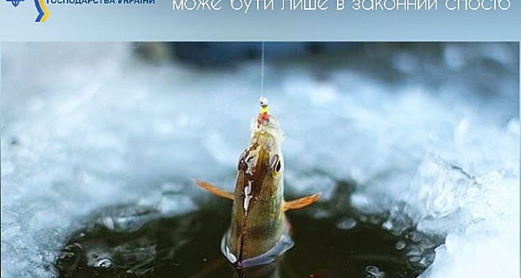 Чи клює сьогодні риба: актуальний прогноз для успішної риболовлі