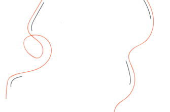 Чи може ФОП одночасно виконувати роботу за наймом: аналіз можливостей