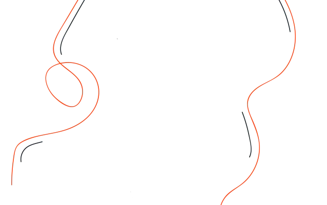 Чи може ФОП одночасно виконувати роботу за наймом: аналіз можливостей