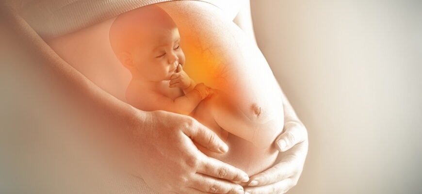 Чи можливі відчуття рухів плоду на 12 тижні вагітності? Правда та міфи