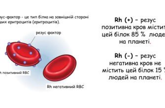 Чи можливі зміни резус-фактора: міфи та наукові факти в одному огляді