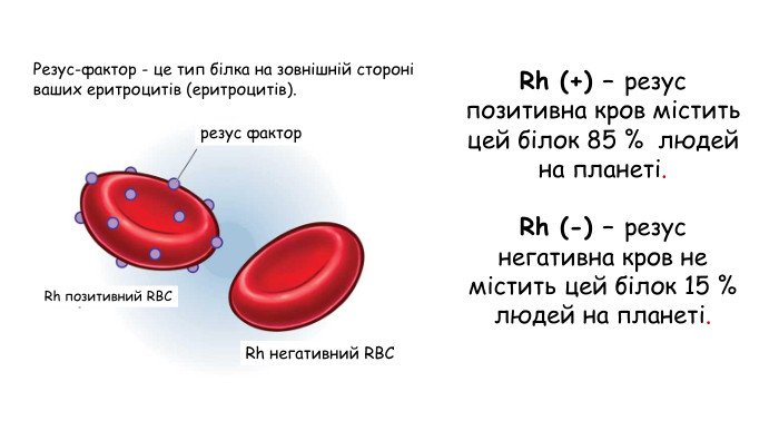 Чи можливі зміни резус-фактора: міфи та наукові факти в одному огляді Чи можливі зміни резус-фактора: міфи та наукові факти в одному огляді