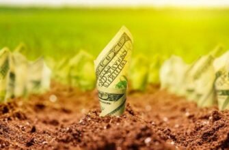 Чи можна продати пай в оренді: правила та можливості продажу землі