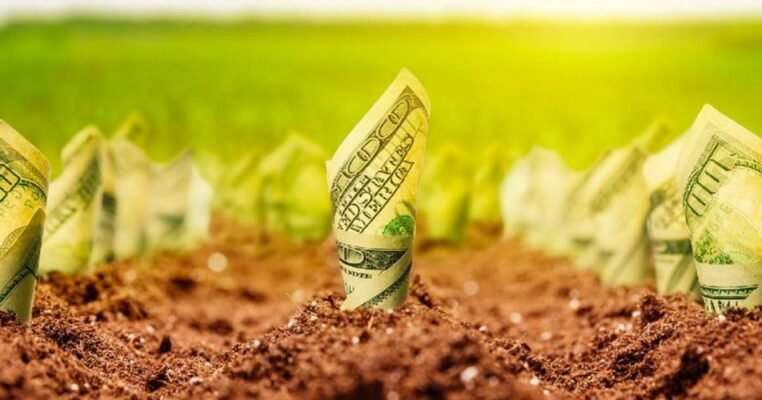 Чи можна продати пай в оренді: правила та можливості продажу землі