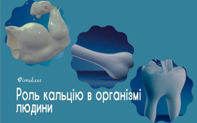 Чи можна приймати кальцій з магнієм: корисні поради та застереження