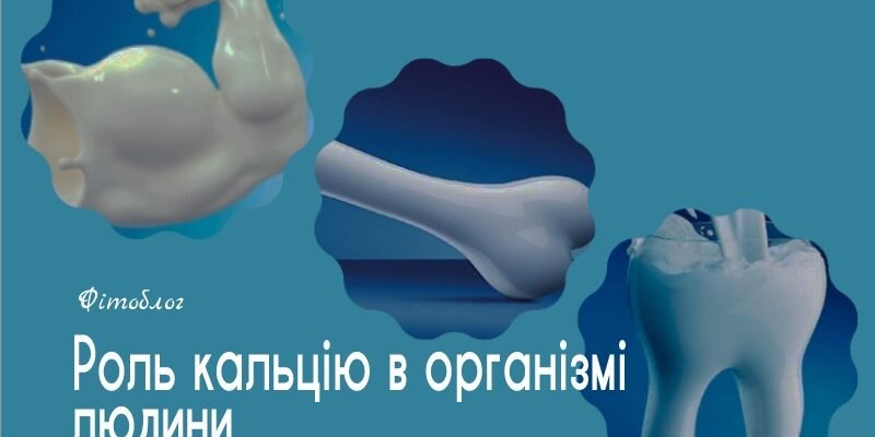 Чи можна приймати кальцій з магнієм: корисні поради та застереження