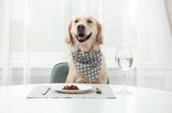 Чи можна собакам їсти хліб: користь, ризики та поради ветеринарів