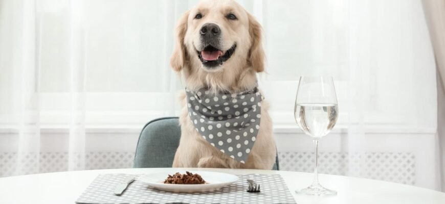 Чи можна собакам їсти хліб: користь, ризики та поради ветеринарів