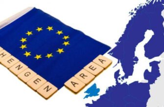 Чи можна тримати бджіл у містах: правила та поради для пасічників