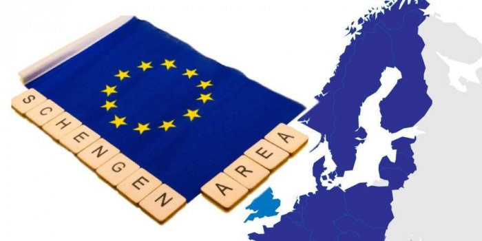 Чи можна тримати бджіл у містах: правила та поради для пасічників