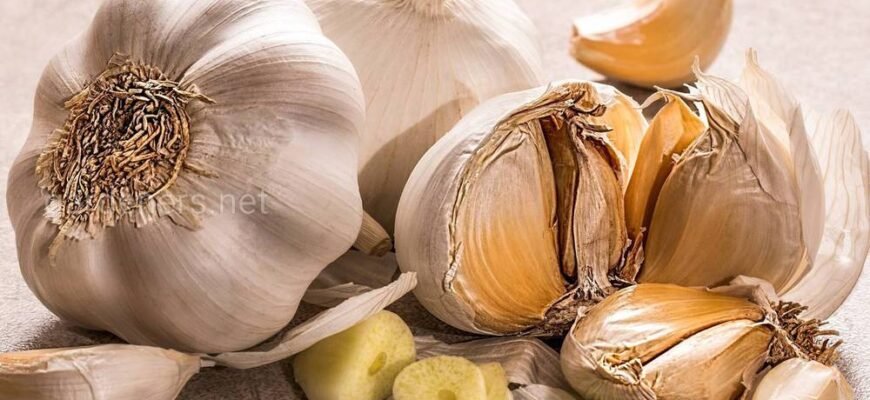Чи можна вживати часник після інсульту: переваги та обмеження