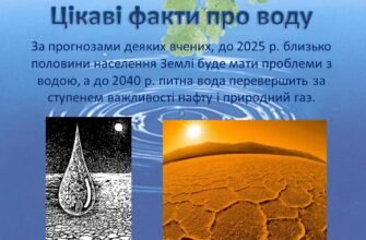Чи можна вживати воду після їжі: міфи та наукові факти