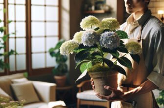 Гортензія волотиста: ефективний догляд та вирощування в домашніх умовах