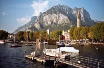 Драцена Компакта: повний посібник з догляду та утримання вдома