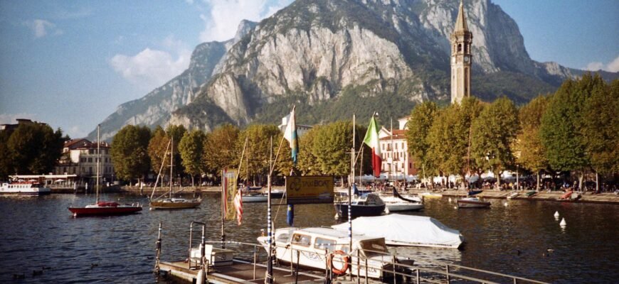 Драцена Компакта: повний посібник з догляду та утримання вдома