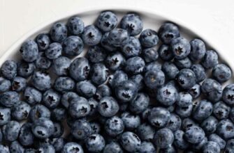 Лохина чи чорниця: як вибрати найкориснішу ягоду для вашого здоров’я