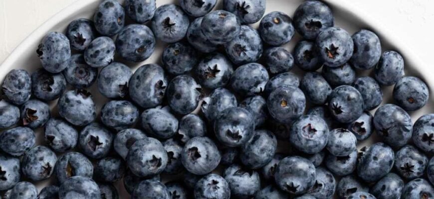 Лохина чи чорниця: як вибрати найкориснішу ягоду для вашого здоров’я Лохина чи чорниця: як вибрати найкориснішу ягоду для вашого здоров’я