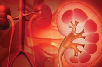 Нирковий тиск: як визначити, верхній чи нижній впливає більше?