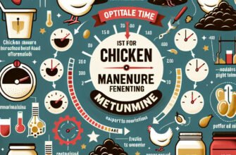 Оптимальное время для брожения куриного помета: советы и рекомендации