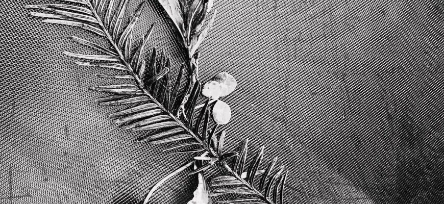 Ефективний догляд за руками: секрети здорових і красивих рук Ефективний догляд за руками: секрети здорових і красивих рук